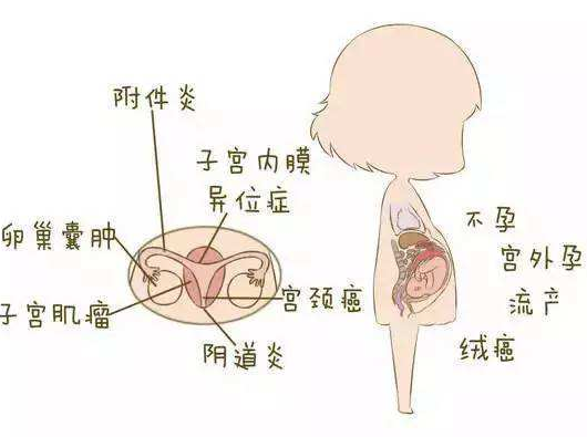 陰道分泌物午夜福利理论片在线观看分析陰道炎早期症狀