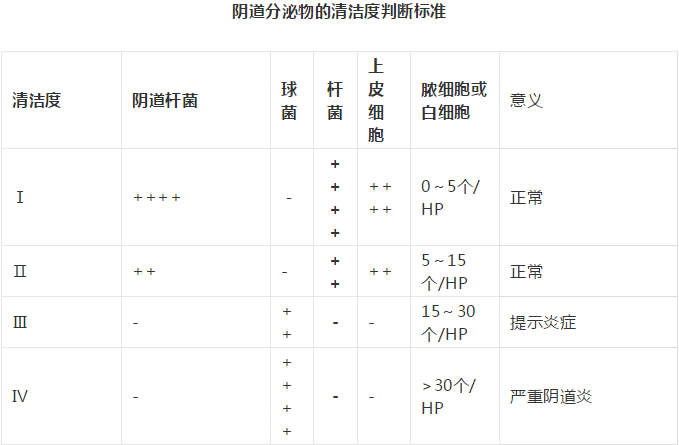 全自動陰道分泌物午夜福利理论片在线观看剖析陰道分泌物的潔淨度規範