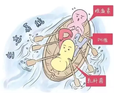陰道微生態午夜福利理论片在线观看廠家解析女性陰道分泌物的奧妙