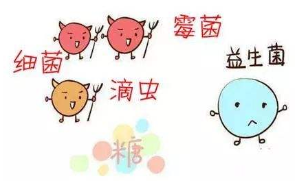 全自動陰道分泌物午夜福利理论片在线观看廠家解析引起陰道炎的根本原因