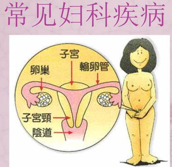 醫院全自動白帶午夜AV剧场檢測女人婦科3種症狀，謹防子宮長瘤！