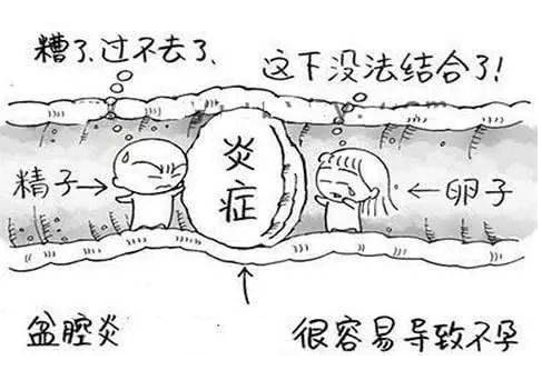 全自動婦科陰道分泌物午夜AV剧场檢測辨別婦科炎症複雜多樣！